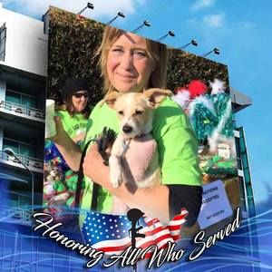 Meet your Posher, Kelley